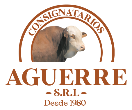Aguerre SRL Logo