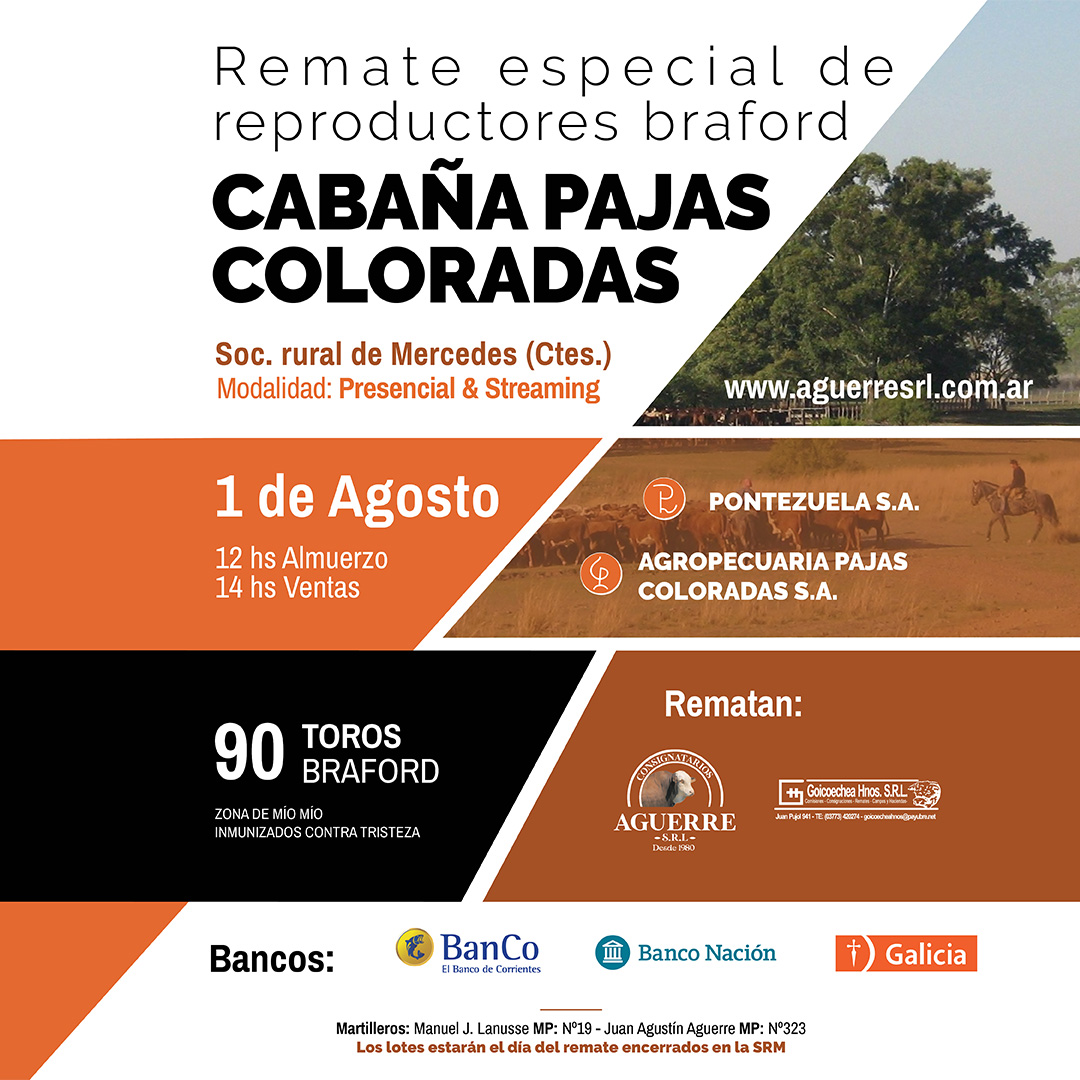 Remate Especial de Reproductores 2024