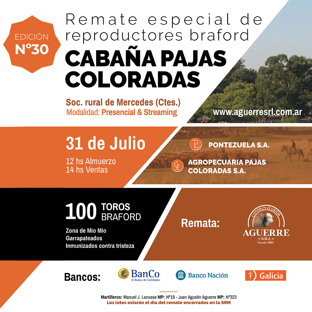 Remate Especial de Reproductores 2025