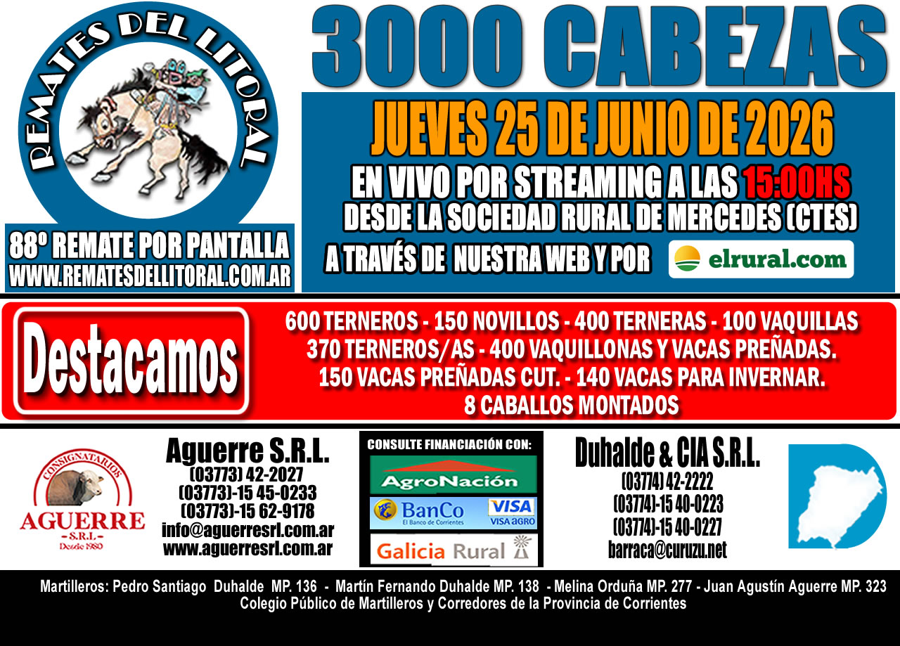 88° Remate por Pantalla