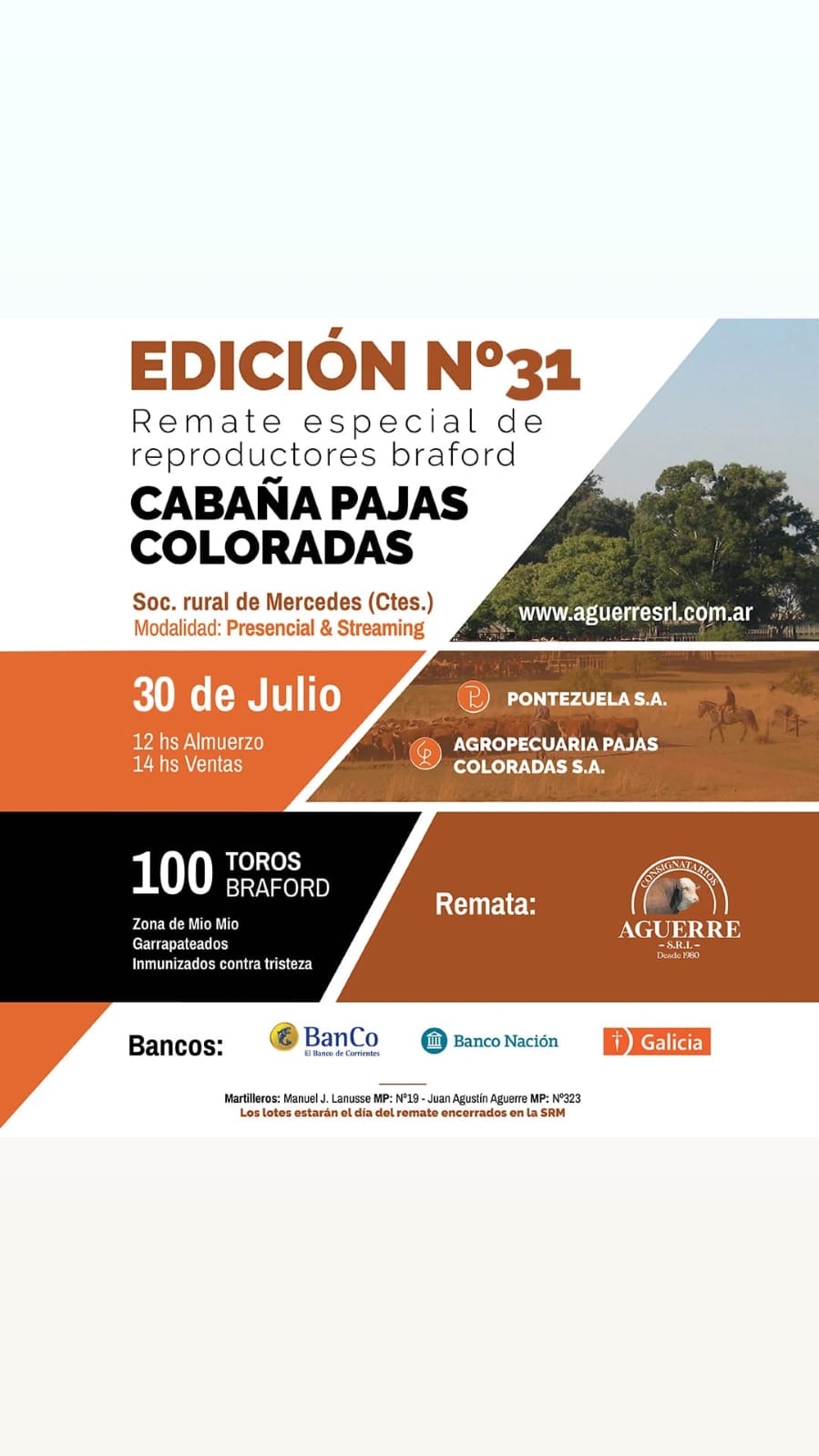 Remate Especial de Reproductores 2026